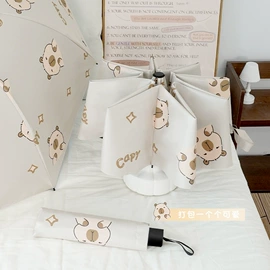 雨伞;晴雨伞;遮阳/太阳伞