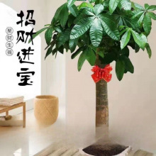 ���;Gֲ�lؔ�����U�͏d�k���҆��w���ԃ����͚�����ȩ��ؔ