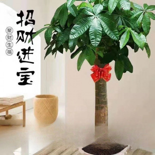 ���;Gֲ�lؔ�����U�͏d�k���҆��w���ԃ����͚�����ȩ��ؔ