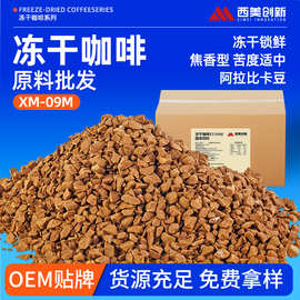 严选进口大颗粒冷萃冻干咖啡美式速溶咖啡粉黑咖啡原料灌肠批發
