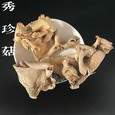 食用菌干货秀珍菇干货煲汤姬菇秀珍菇餐厅饭店用秀珍菇厂家批发