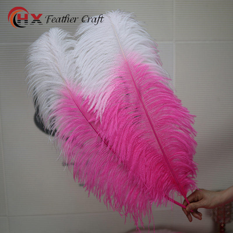 Plumas de avestruz DIY red ins rosa de avestruz accesorios de fotografía de camello adornos de plumas de boda decoración