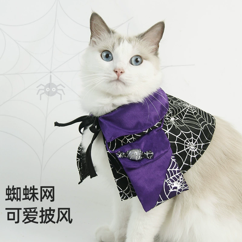 Чихуази домашнее животное Хэллоуин поставки ювелирных изделий для домашних животных праздничный плащ украшения паутина Шляпа Волшебника остроконечная шляпа