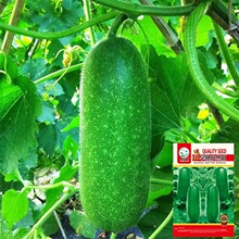 ����С����С���ϷN�� ���L����Ʒ�N �����＾�߲˲ˈ@���ԷN��