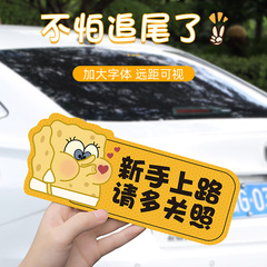 Newbie Driver Sticker for Women: Funny, Creative, and Viral—Perfect for Interns! Magnetic & Logo Design Stickers