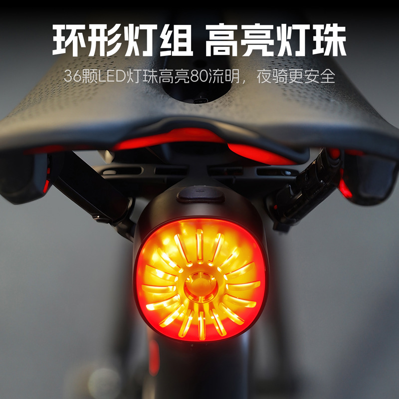 西骑者自行车尾灯智能刹车灯骑行装备山地车公路车夜骑感应尾灯|undefined