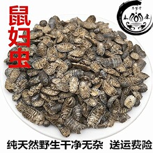 ��؛��D�x250�� ��D ���x �F���x ��ʭ�� ��ʭ�� ��؛��؛