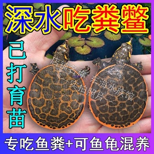 ���������M���A�M�t�����~�׻��B����������ˮ�����~�S�^�p�M