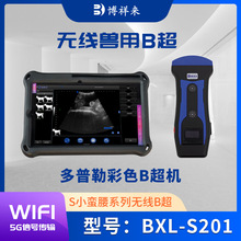 高清多普勒彩色猪用B超机 无线猪羊B超机测孕测背膘仪 智能测背膘