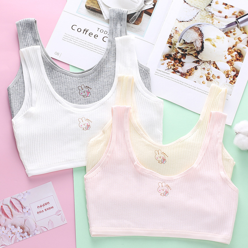 Factory wholesale cotton short developmental girl bra children's underwear junior high school students anti-bump small vest