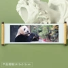Panda 179