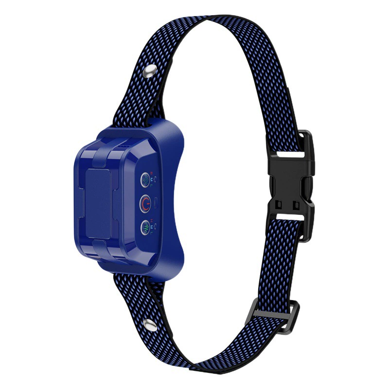 Эксклюзивные поставки через границу: устройства для дрессировки собак, спреи-отпугиватели лая, ошейники для животных, оптовая продажа зоотоваров напрямую с завода.