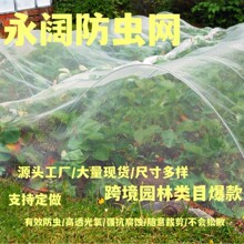 �羳�����S��ֱ�N���x�W�@ˇ���x�W������x�W