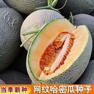 �W�y���ܹϷN���ϱ����ļ���ˮ�����۹�����������̨�߲˷N��