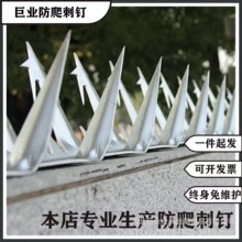 304不锈钢刺围墙防爬热镀锌喷塑别墅防盗防攀爬围栏刺钉防盗网