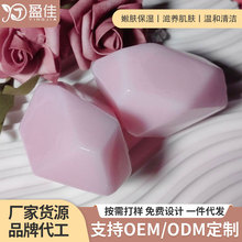 ���Ʋ�ɫ��ʯ�ֹ���ֲ��澫���턓��DIY����������ˮ������