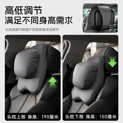 L, Tang, Qin L, Qin PLUS, Headrest