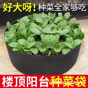 ���R�d�羳ë�ַNֲͰ�����߲�ֲ��Ͱ�����������Nֲ��͸������