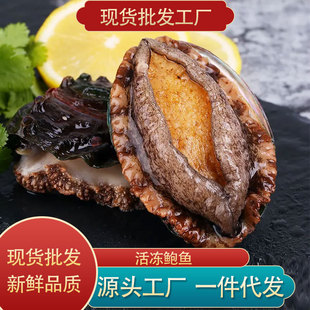 ����U�~���l���r��̖���r������U�~�����bҰ���������������l