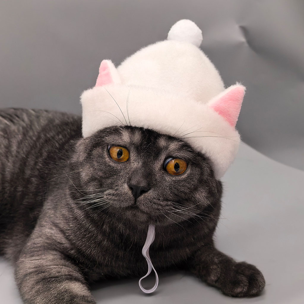 Novos produtos mais vendidos: Gorro fofo e divertido com imitação de pele de coelho, acessório universal para cabeça de cães e gatos, Pet Magic House_voghion.com