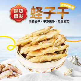 蛏子干新货淡晒大个头海蛏干竹节蛏子干蛏王干海鲜干货圣子干炒菜