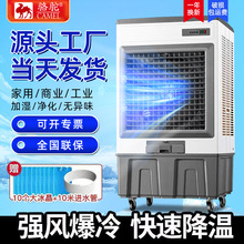 骆驼新型工业冷风机工厂降温设备蒸发式冷风机湿帘风机工业冷风机