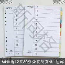 12色彩色分页纸纸质索引纸A4分类纸12页隔页纸分类标签纸5份60张