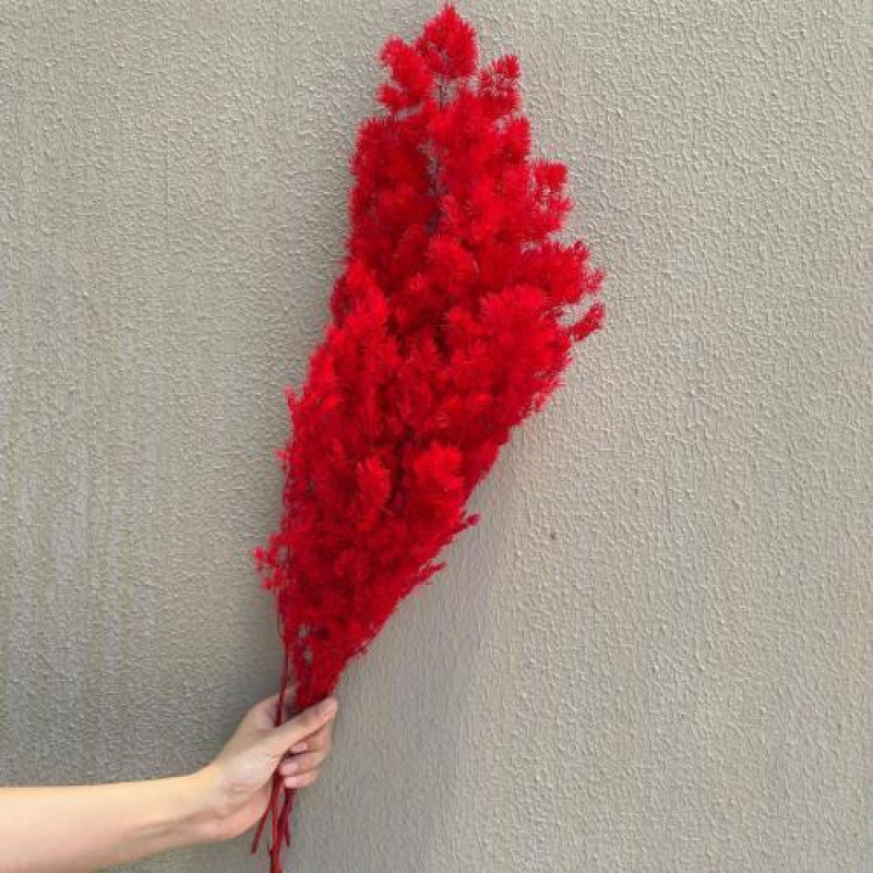 레드(85-105g)-드라이플라워백