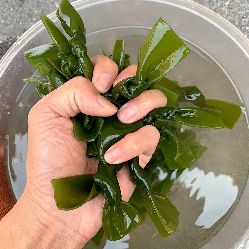 霞浦烘干海带结海带干货非特级厚海带扣节新鲜凉拌菜煲汤火锅海带