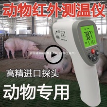 FwؘضӋt⾀ţBֳӜy؃xiwӋ