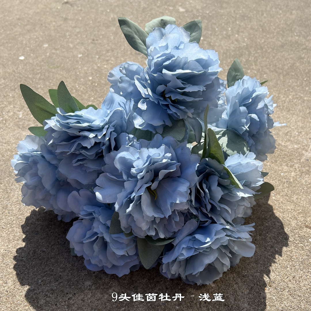 9-cabeza Jiayin peonía azul claro