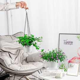 自吸水花盆加厚兰花透明懒人大水养水培植物绿萝盆塑料吊兰盆