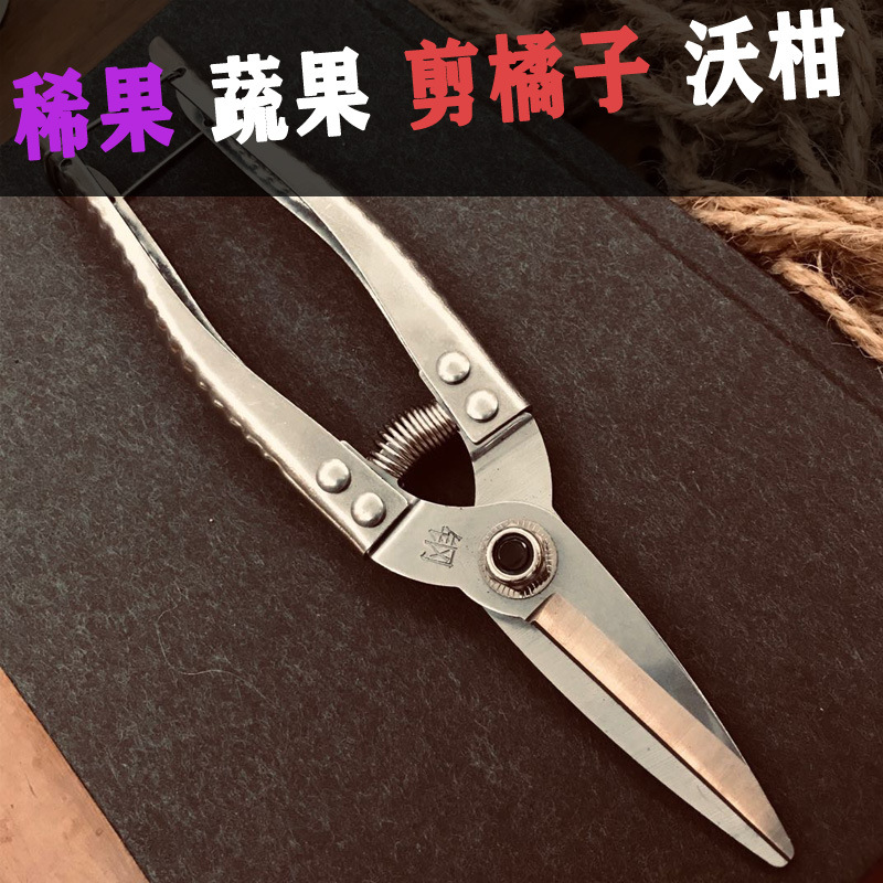 广西锋利耐用果农大果场剪果剪刀摘果剪稀果剪剪柑橘沃柑