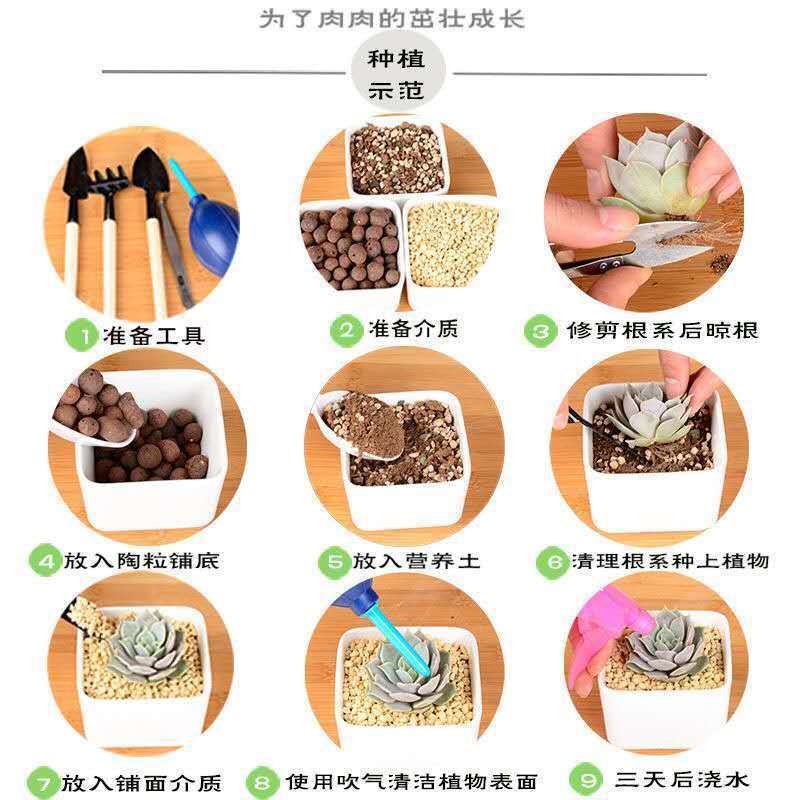 736009c5-ba05-48c0-ba49-ba18860018ed.jpe