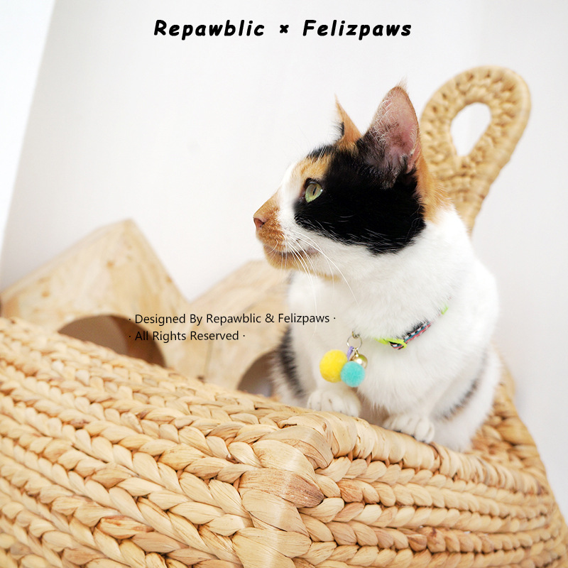 Tùy chỉnh vòng cổ mèo 7.jpg