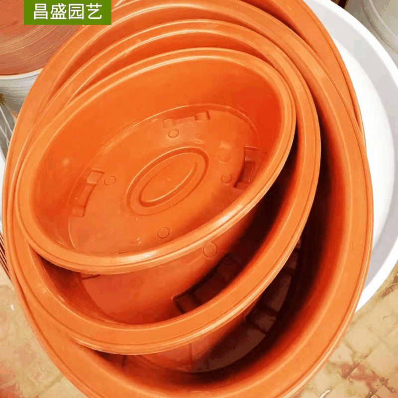 4ad79bcf3f7a501475878d300be6e2