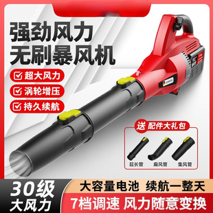 Minda Hair Dryer Dust Blower High-Power Industrial Rechargeable Hair Dryer Lithium Battery Wireless Storm Gun