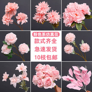 ��ɫ���滨�ٻ����l��c���Ļ�Y�����廨��ˇ�ۼtɫ����Ī�λ��@