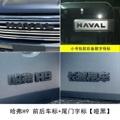 Car logo with blacked-out front and rear emblems, brand - matte-blacksmall-front-badge-front-emblem-tailgate-lettering-haval-h9