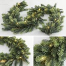 1.8�������ɰ��ٗl������֦����Gֲ�}�Q�����b�Ʒ��ᘘ�֦�ɹ�