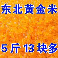本場東北産黄金米 新米 本場黄金米のお供 穀物産 黄色米卸売1