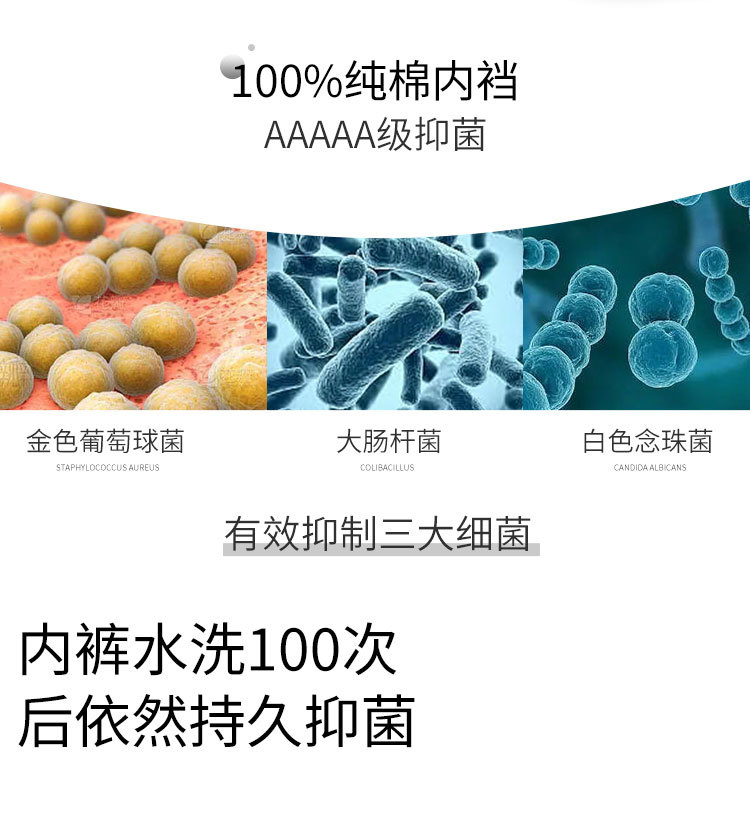 1538详情_07.jpg