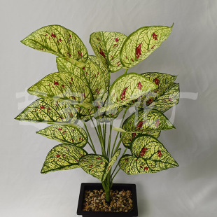 18�^���^�~ ����G�}�~�����~�ָ��^�z3D�Gֲ�~ ����ֲ����