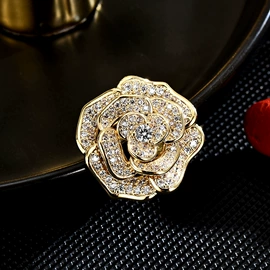 胸针;耳钉;项链