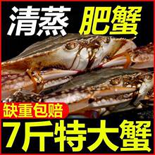梭子蟹价鲜活新鲜冷冻特大加肥加大螃蟹冰冻白蟹一件批发量大批发