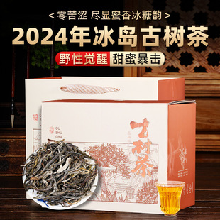 �ն�������2024�괺������̖�������Ř����ն�ɢ�b����~�Y���b