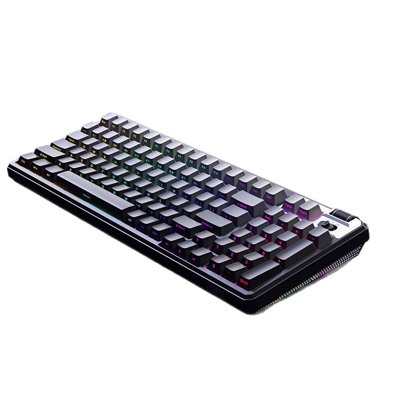 A98RT teclado de eje magnético RGB cableado teclas completas hot-plug macro controlador FPS temeroso contrato 98 teclas