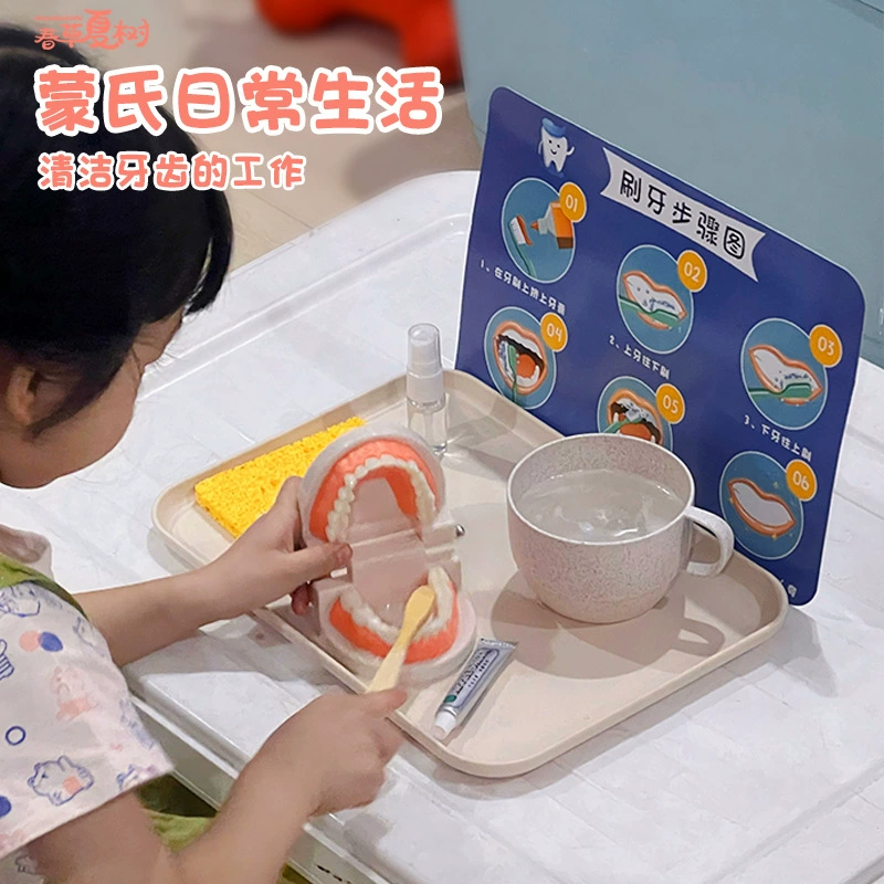 Детские обучающие пособия Монтессори, набор для мытья зубных щеток, игрушки для раннего образования, модель зубов для детского сада, познавательные зубы