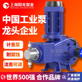 DZ-ZR型柱塞式计量泵 计量泵加药计量泵 化工计量泵厂家 定金
