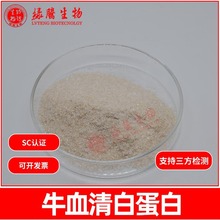 牛血清白蛋白90% 牛血清提取 食品级 绿腾供应 包邮100g/袋